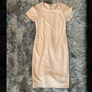 Calvin Klein Blush Pink Dress